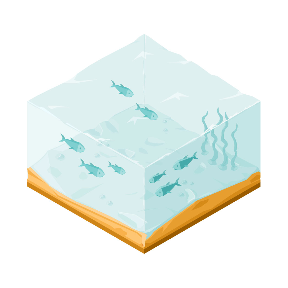 environmental marine life