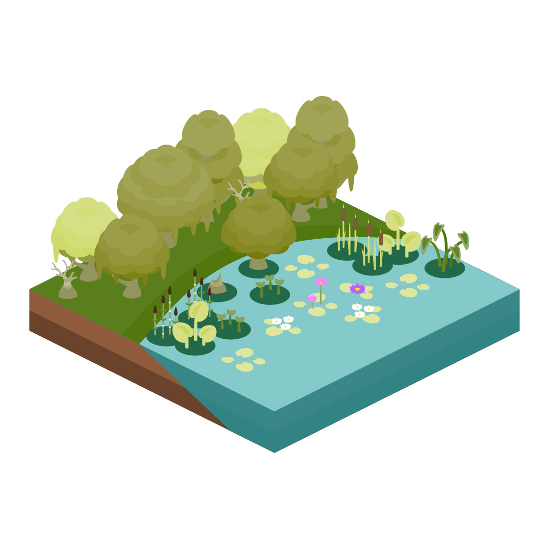 environmental nature reserve